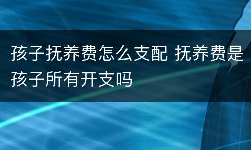 孩子抚养费怎么支配 抚养费是孩子所有开支吗