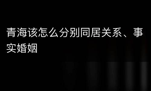 青海该怎么分别同居关系、事实婚姻