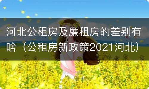 河北公租房及廉租房的差别有啥（公租房新政策2021河北）