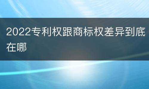 2022专利权跟商标权差异到底在哪