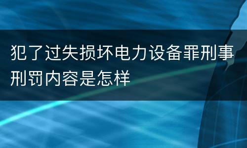 犯了过失损坏电力设备罪刑事刑罚内容是怎样