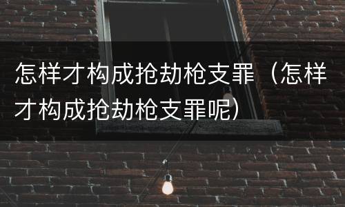 怎样才构成抢劫枪支罪（怎样才构成抢劫枪支罪呢）