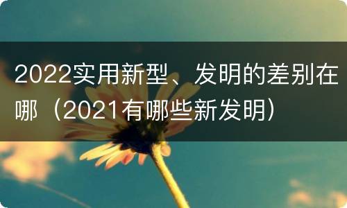 2022实用新型、发明的差别在哪（2021有哪些新发明）