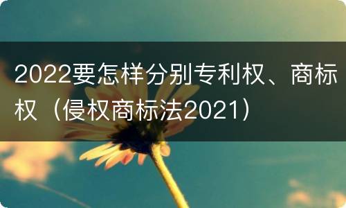 2022要怎样分别专利权、商标权（侵权商标法2021）