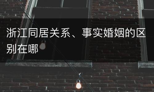 浙江同居关系、事实婚姻的区别在哪