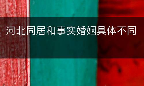 河北同居和事实婚姻具体不同