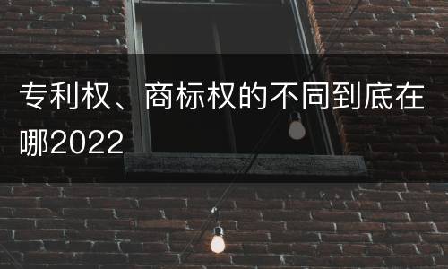 专利权、商标权的不同到底在哪2022