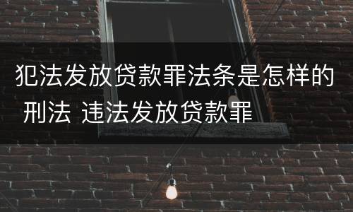 犯法发放贷款罪法条是怎样的 刑法 违法发放贷款罪