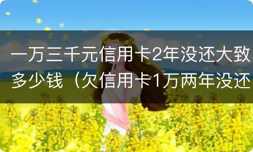 一万三千元信用卡2年没还大致多少钱（欠信用卡1万两年没还应该还多少）