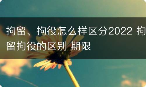 拘留、拘役怎么样区分2022 拘留拘役的区别 期限