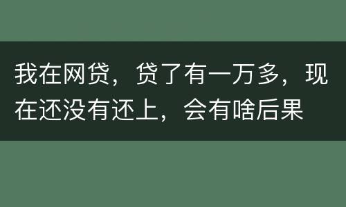 我在网贷，贷了有一万多，现在还没有还上，会有啥后果