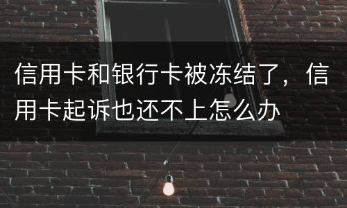 信用卡和银行卡被冻结了，信用卡起诉也还不上怎么办