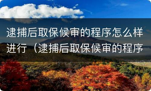 逮捕后取保候审的程序怎么样进行（逮捕后取保候审的程序怎么样进行判决）