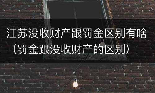 江苏没收财产跟罚金区别有啥（罚金跟没收财产的区别）