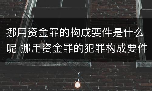 挪用资金罪的构成要件是什么呢 挪用资金罪的犯罪构成要件