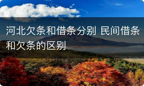 河北欠条和借条分别 民间借条和欠条的区别