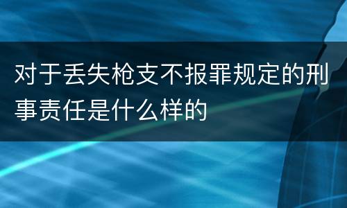 对于丢失枪支不报罪规定的刑事责任是什么样的