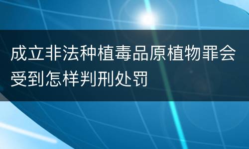 成立非法种植毒品原植物罪会受到怎样判刑处罚