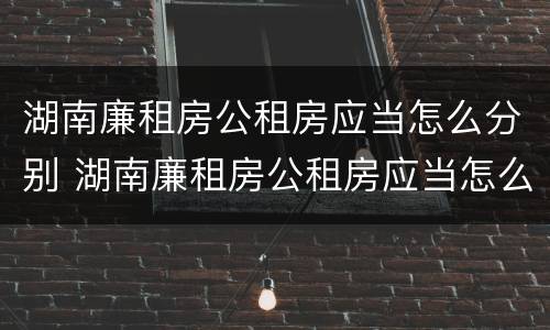 湖南廉租房公租房应当怎么分别 湖南廉租房公租房应当怎么分别购买