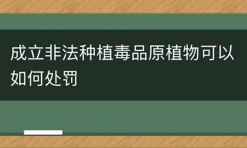 成立非法种植毒品原植物可以如何处罚