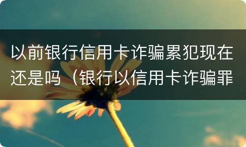 以前银行信用卡诈骗累犯现在还是吗（银行以信用卡诈骗罪报警,多久会立案）