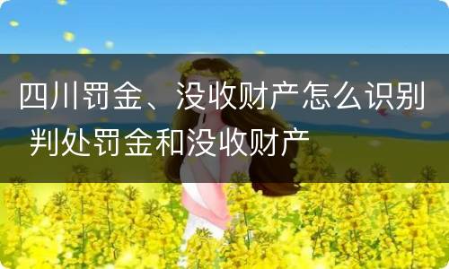 四川罚金、没收财产怎么识别 判处罚金和没收财产