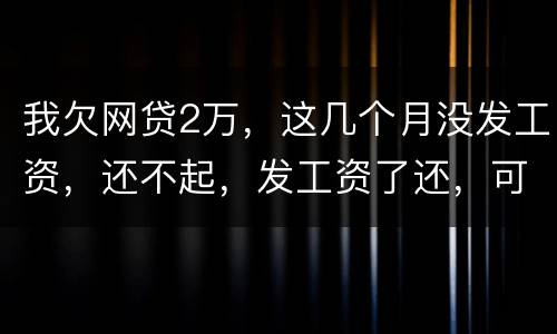 我欠网贷2万，这几个月没发工资，还不起，发工资了还，可以吗