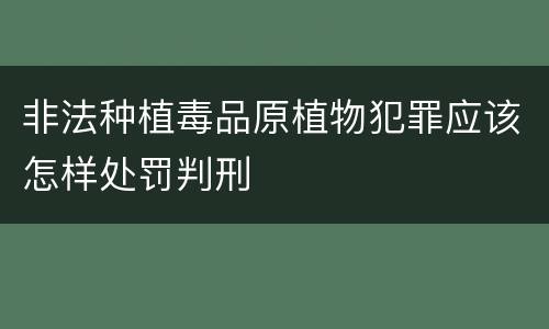 非法种植毒品原植物犯罪应该怎样处罚判刑