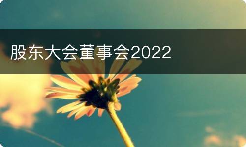 股东大会董事会2022