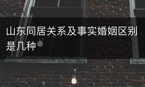 山东同居关系及事实婚姻区别是几种