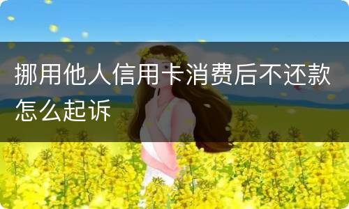 挪用他人信用卡消费后不还款怎么起诉