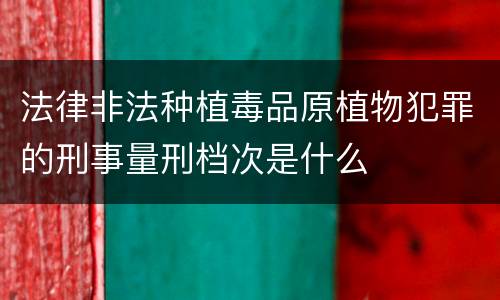 法律非法种植毒品原植物犯罪的刑事量刑档次是什么