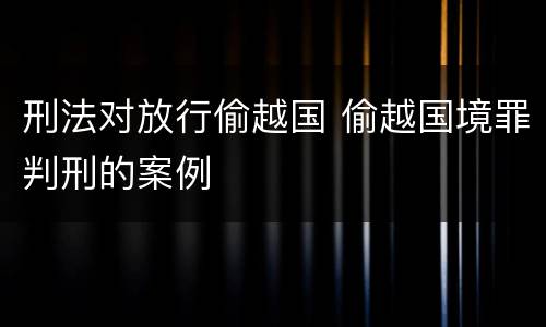 刑法对放行偷越国 偷越国境罪判刑的案例