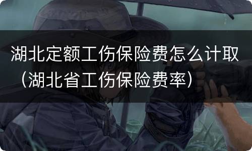 湖北定额工伤保险费怎么计取（湖北省工伤保险费率）