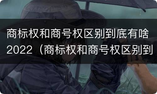 商标权和商号权区别到底有啥2022（商标权和商号权区别到底有啥2022年的）