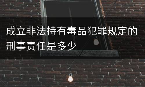 成立非法持有毒品犯罪规定的刑事责任是多少