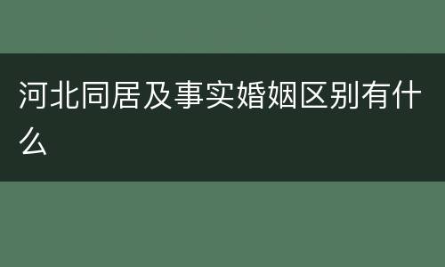 河北同居及事实婚姻区别有什么