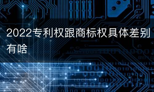 2022专利权跟商标权具体差别有啥