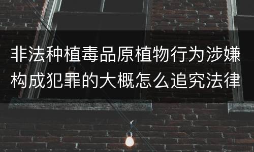 非法种植毒品原植物行为涉嫌构成犯罪的大概怎么追究法律责任