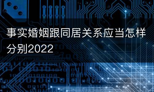 事实婚姻跟同居关系应当怎样分别2022