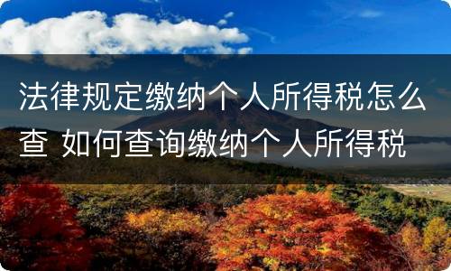 法律规定缴纳个人所得税怎么查 如何查询缴纳个人所得税