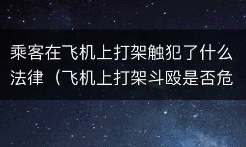 乘客在飞机上打架触犯了什么法律（飞机上打架斗殴是否危害航空安全）