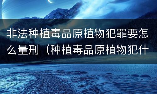 非法种植毒品原植物犯罪要怎么量刑（种植毒品原植物犯什么罪）