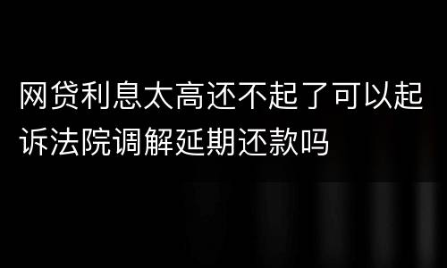 网贷利息太高还不起了可以起诉法院调解延期还款吗