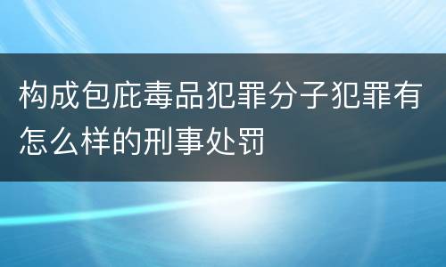 构成包庇毒品犯罪分子犯罪有怎么样的刑事处罚