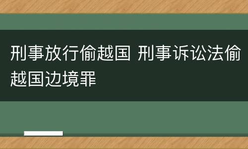 刑事放行偷越国 刑事诉讼法偷越国边境罪