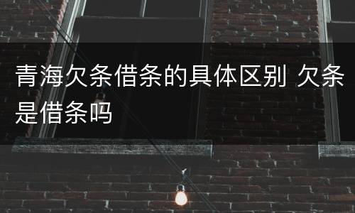 青海欠条借条的具体区别 欠条是借条吗