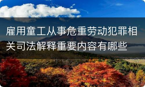 雇用童工从事危重劳动犯罪相关司法解释重要内容有哪些