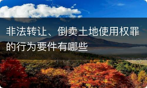 非法转让、倒卖土地使用权罪的行为要件有哪些