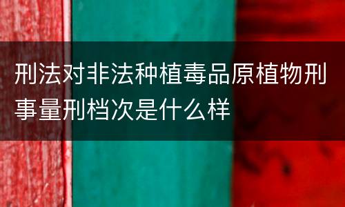 刑法对非法种植毒品原植物刑事量刑档次是什么样